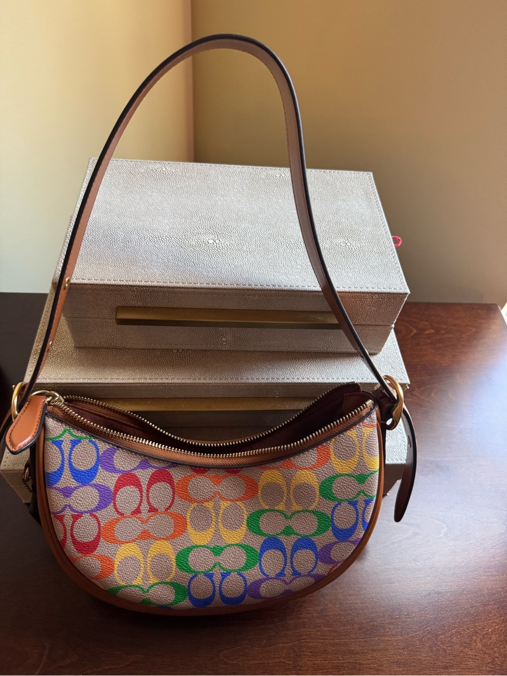 Coach Rainbow Signature Canvas Hobo Shoulder Bag - Brown Trim